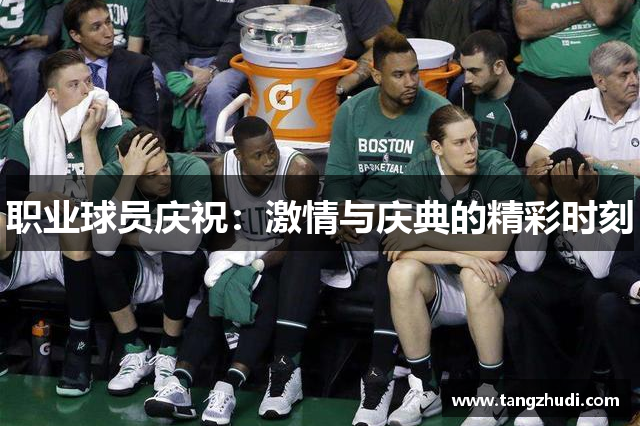 职业球员庆祝：激情与庆典的精彩时刻