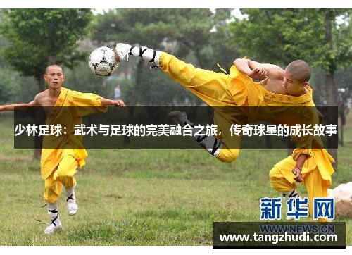 少林足球：武术与足球的完美融合之旅，传奇球星的成长故事