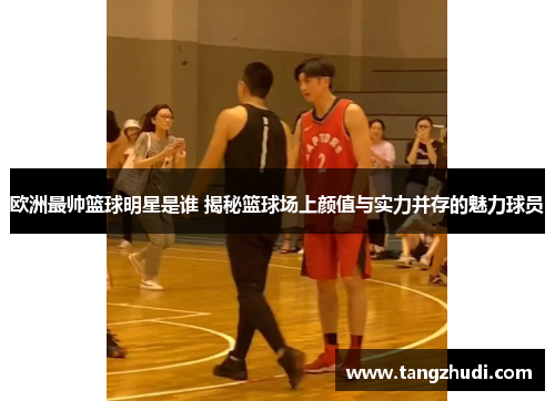 欧洲最帅篮球明星是谁 揭秘篮球场上颜值与实力并存的魅力球员