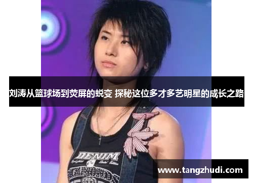刘涛从篮球场到荧屏的蜕变 探秘这位多才多艺明星的成长之路